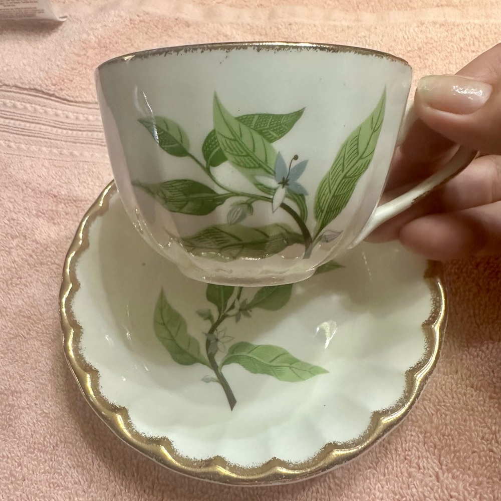 W.S. George Vintage Tea Cup & Saucer - Scalloped Gold Rim & Leaf Motif